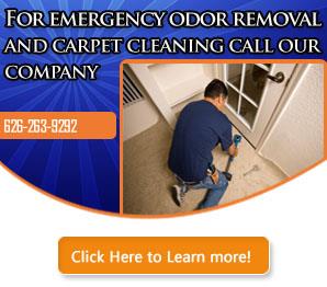 Contact Us | 626-263-9292 | Carpet Cleaning Rosemead, CA